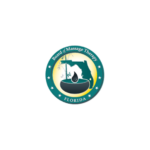 Florida Board of Massage Therapy